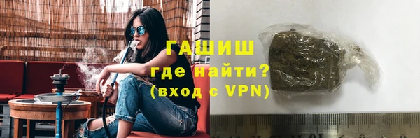гашик Ладушкин