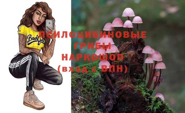 Альфа ПВП Лиски