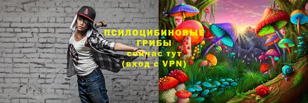 гашик Ладушкин