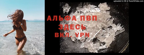 гашик Ладушкин