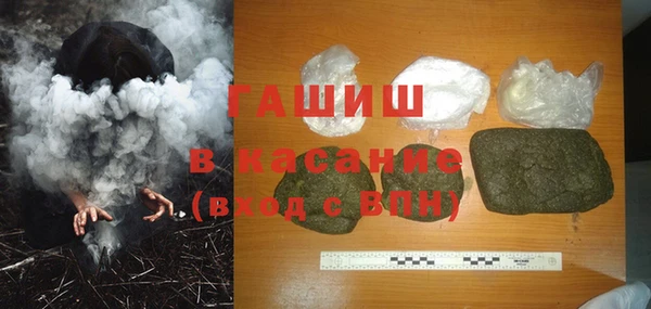 гашик Ладушкин